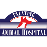 Palatine Animal Hospital